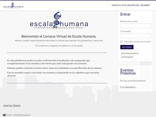 Consultora Escala Humana